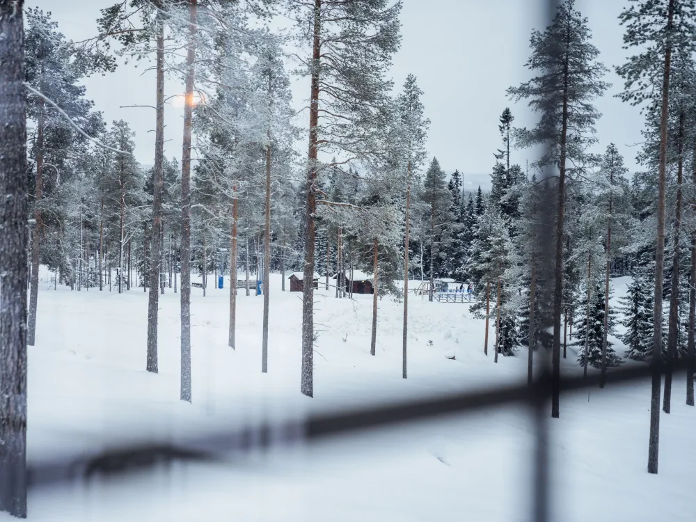Nedre Parkbyvägen 21, husdjursfri stuga. 