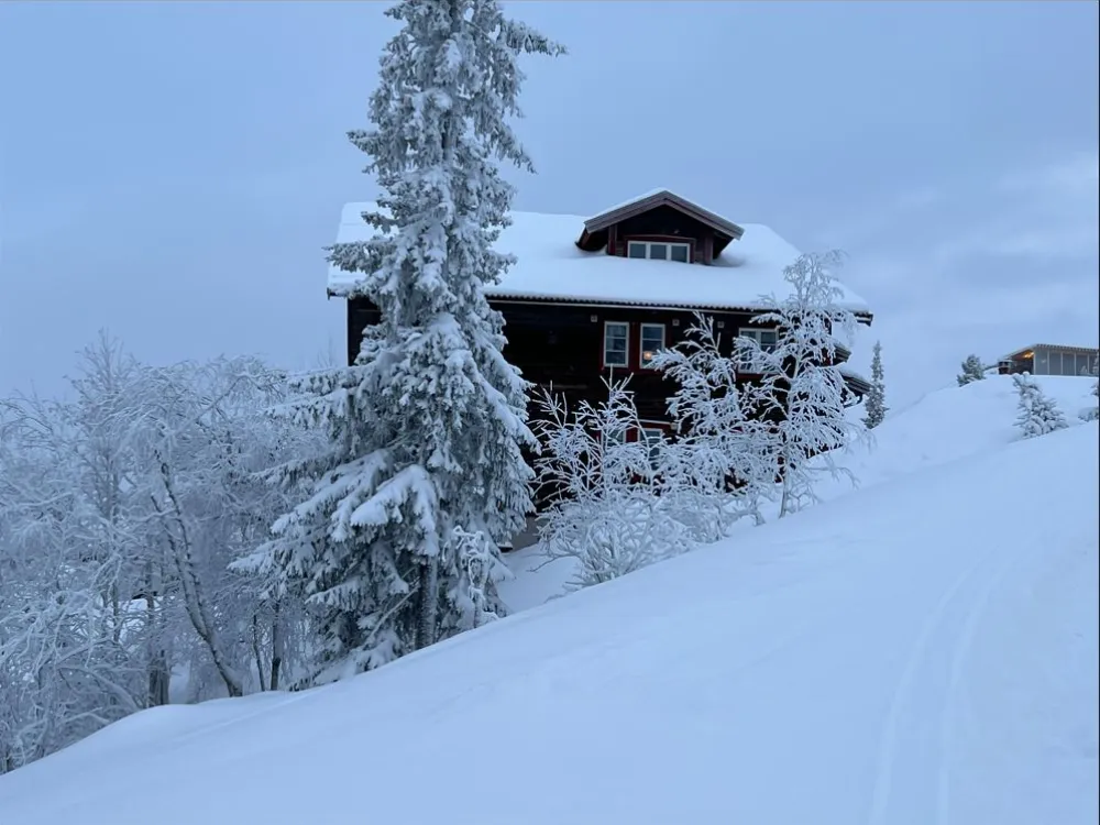 Dähliehöjden 3B Bergänget 
