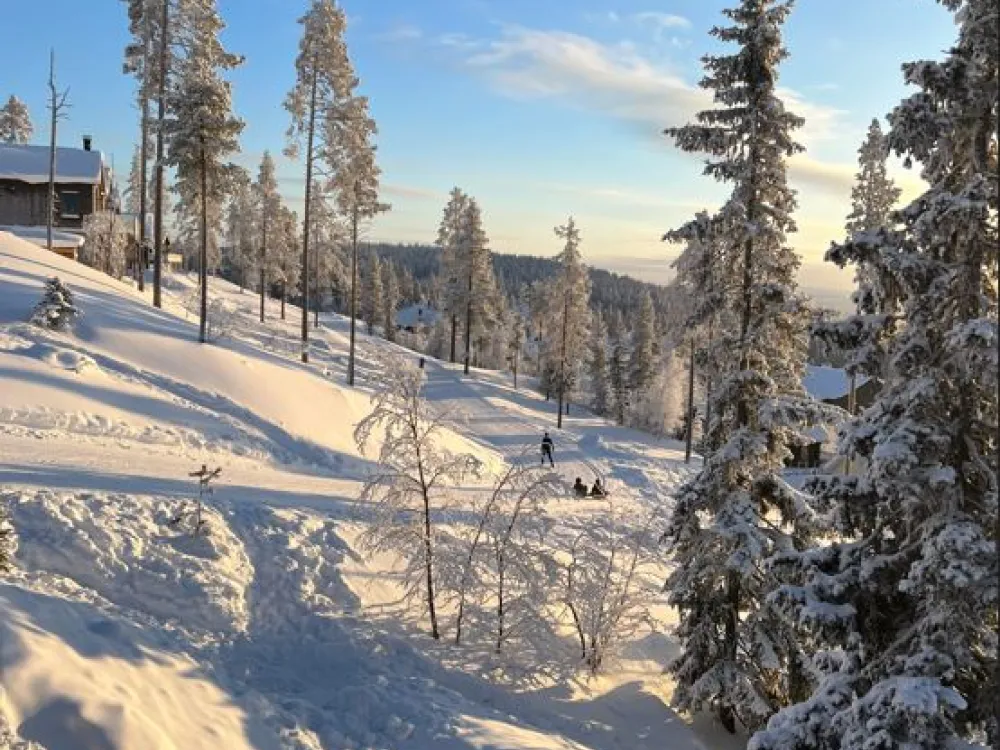 Dähliehöjden 3B Bergänget 