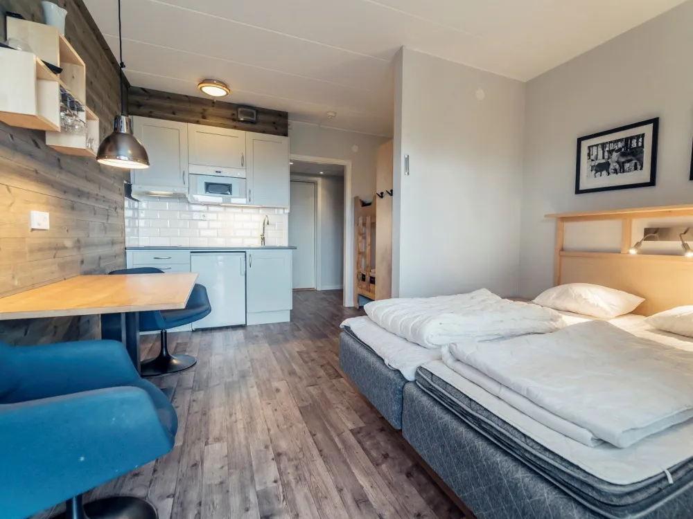 Ski Apartments med fjällutsikt och balkong