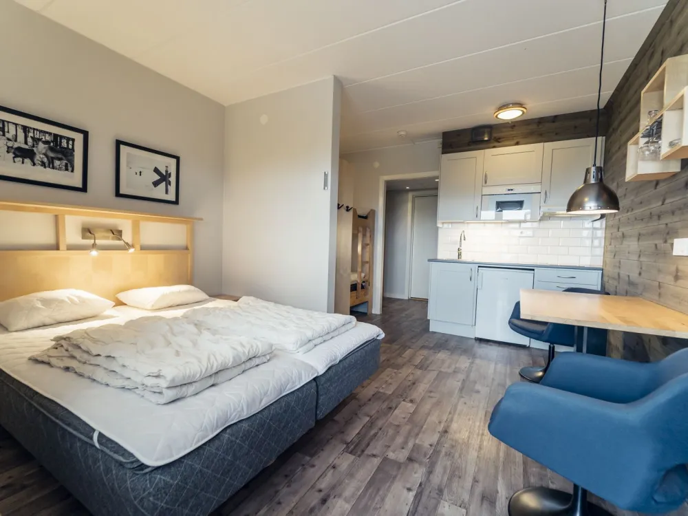 Ski Apartments