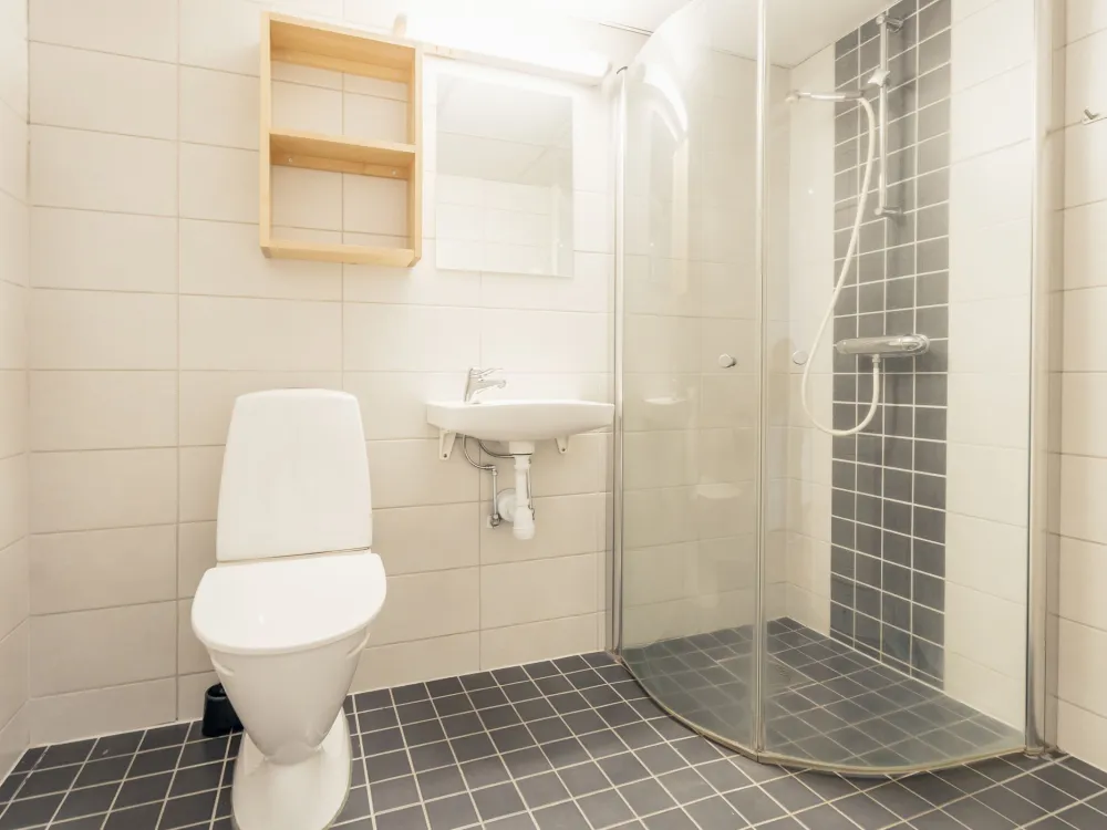 Ski Apartment nr 201