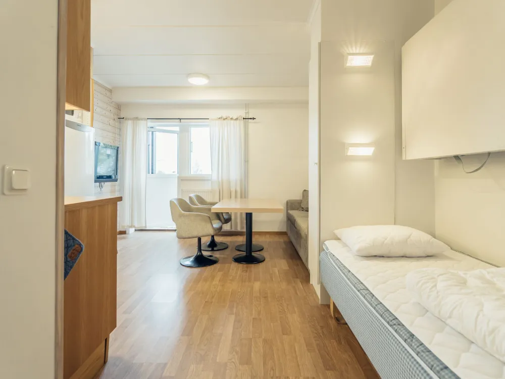 Ski Apartment nr 201