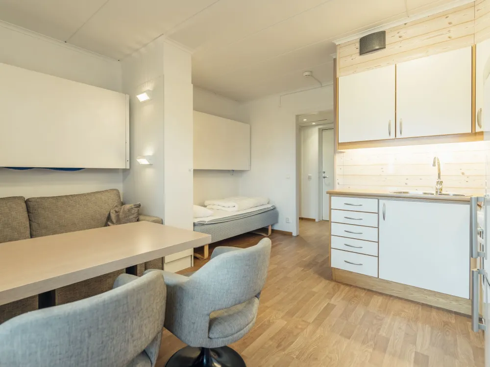 Ski Apartment nr 201
