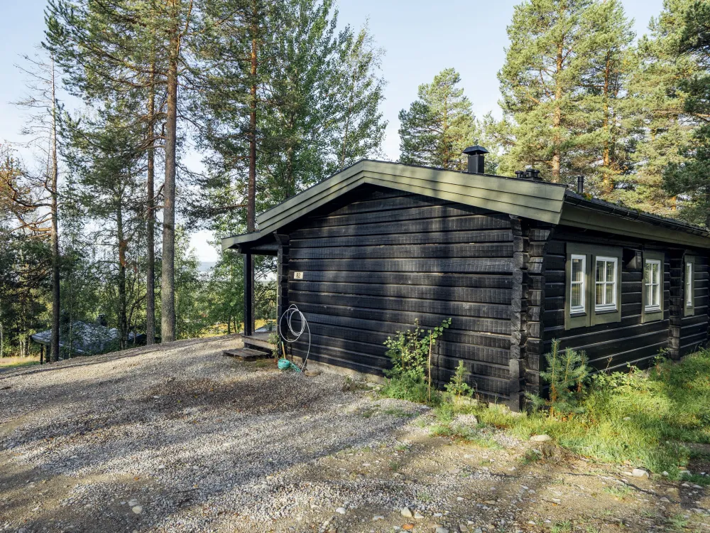 Ingemars väg 82, husdjursfri stuga