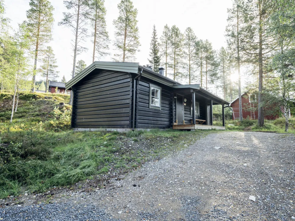 Ingemars väg 87, husdjursfri stuga
