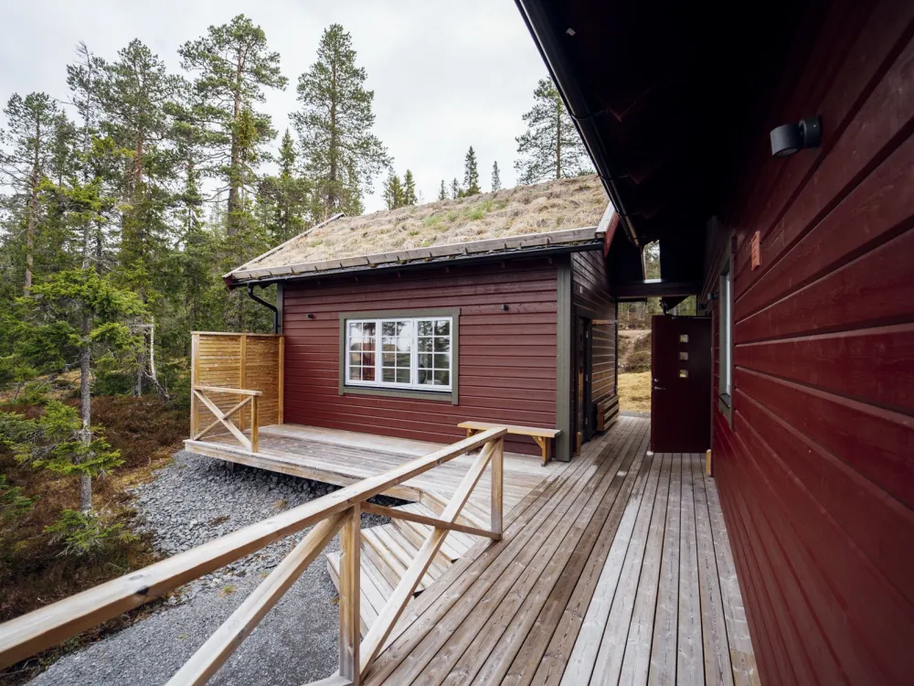 Söderhöjden Snöängeln, husdjursfri stuga