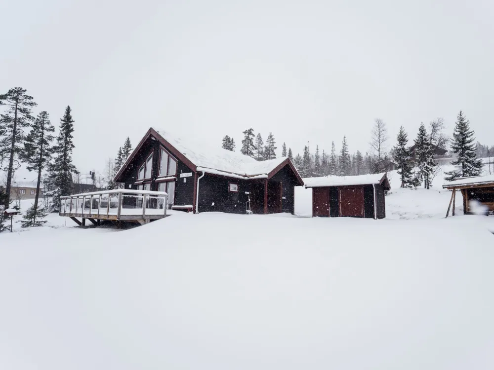 Söderhöjden Fjällstjärnan, husdjursfri stuga