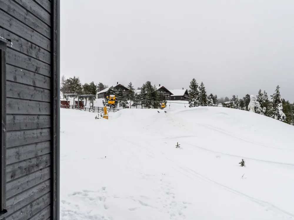 Parkbyvägen 1A, 1002, husdjurfri lägenhet