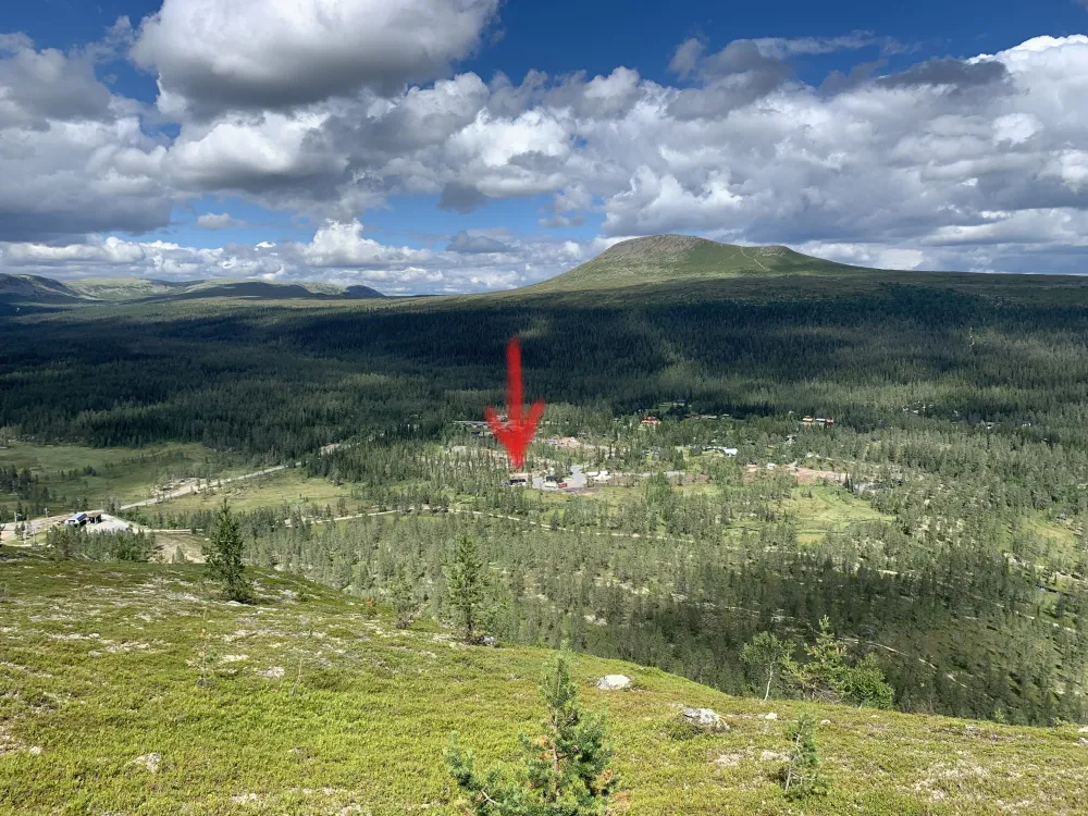 Paradisvägen 15, husdjursfri stuga
