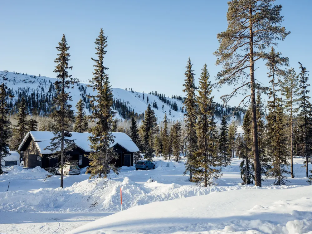 Gränjåsvägen 8, husdjursfri stuga