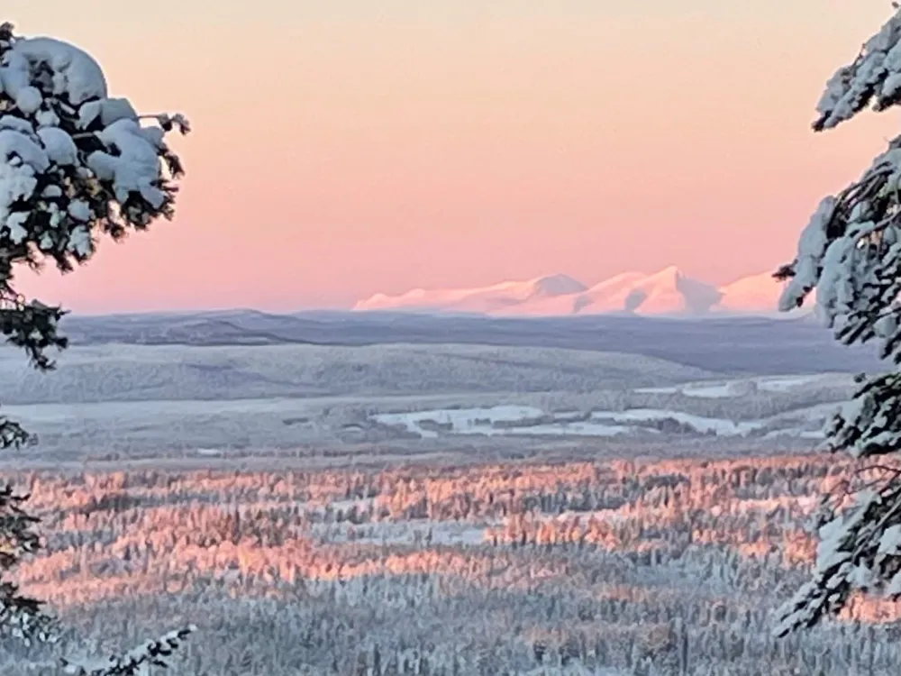 Alpinvägen 856E, husdjursfri lägenhet. 