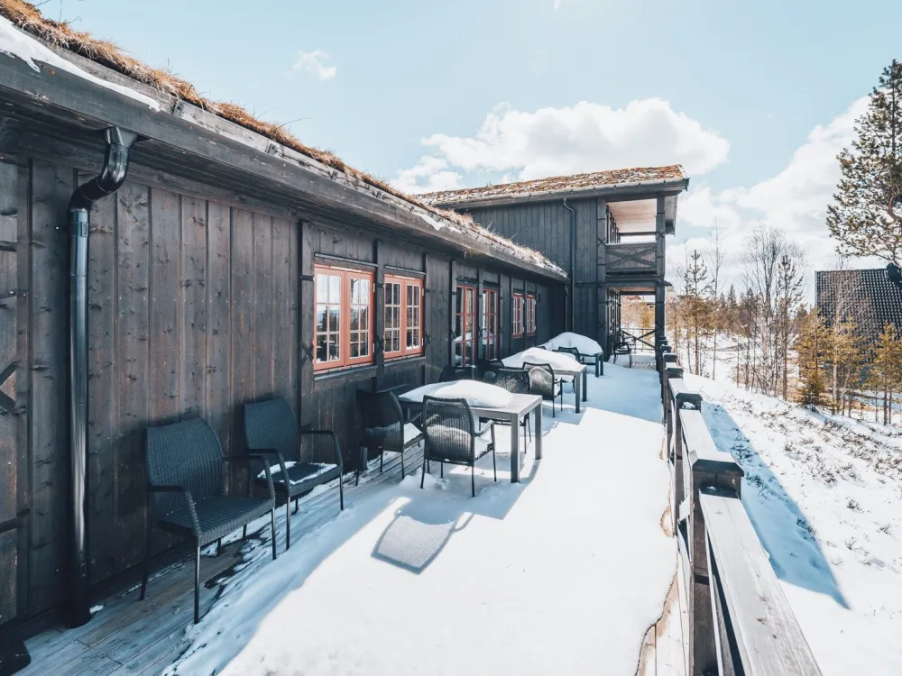 Dählievägen Hugin, husdjursfri stuga