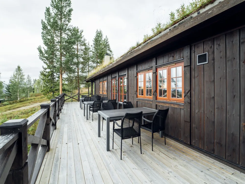 Dählievägen Hugin, husdjursfri stuga