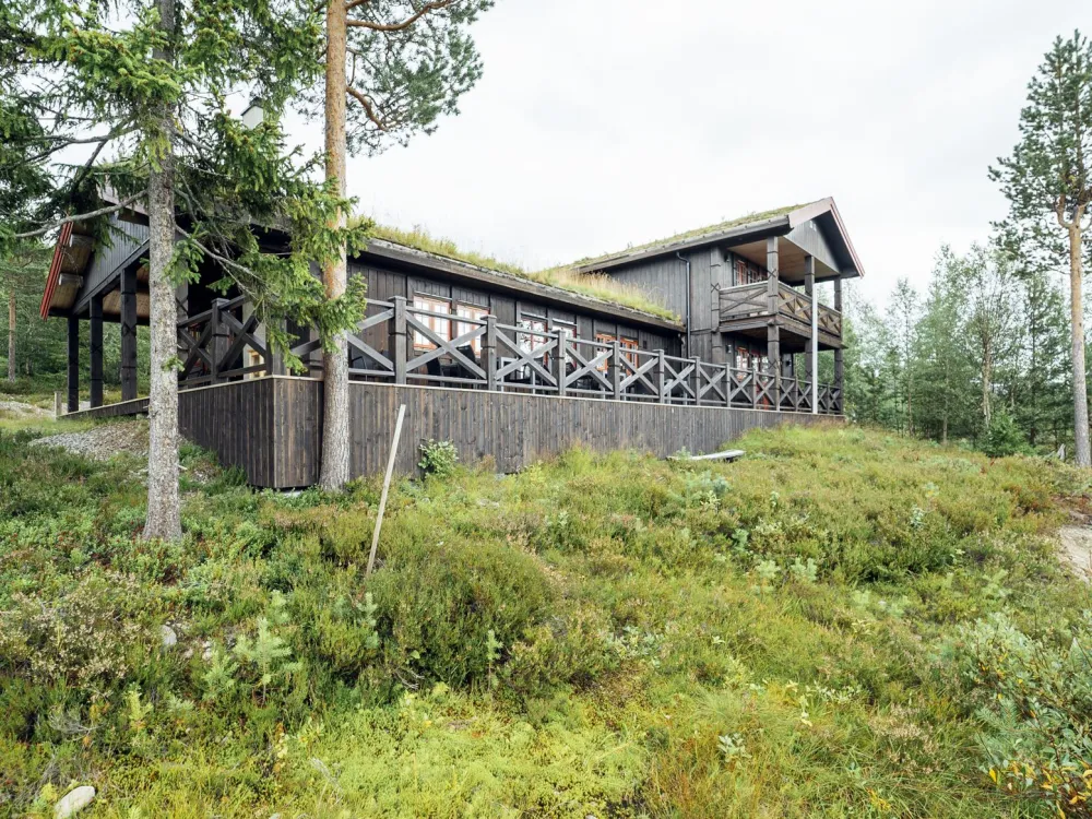 Dählievägen Hugin, husdjursfri stuga