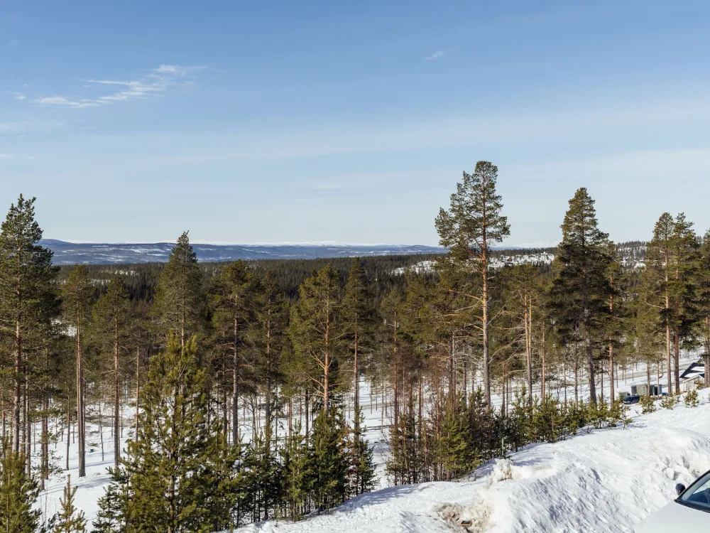 Parkbyvägen 5A, lgh 1001, husdjursfri lägenhet